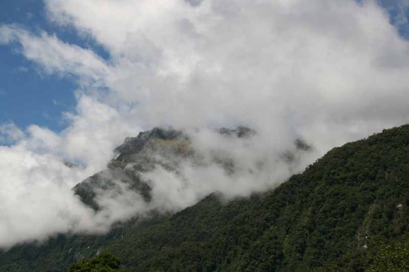 Nieuw-Zeeland 2011 - 1551